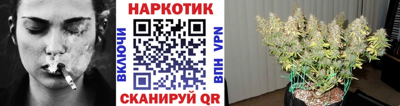Наркотические вещества Геленджик Канабис Кетамин Амфетамин Гашиш Мефедрон