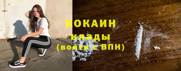 кокс Болотное